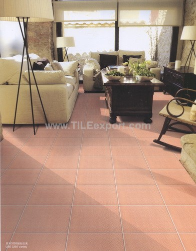 Floor_Tile--Ceramic_Tile,300X300mm[CD],3255-view